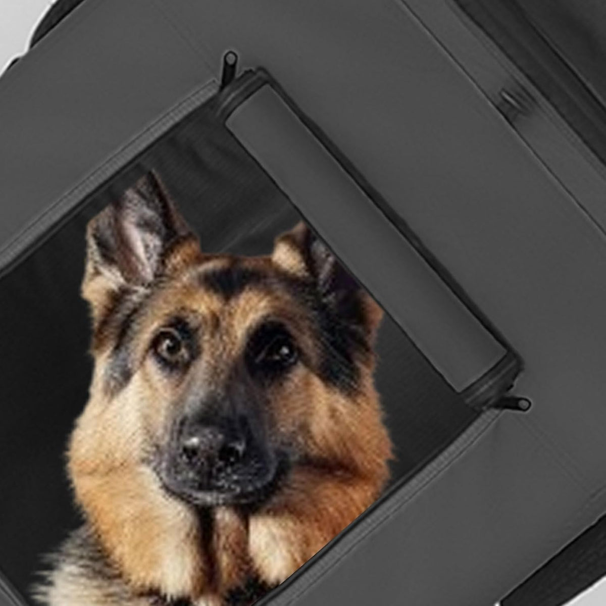 tiggo veelar sports pets large dog bike trailer, front angle view