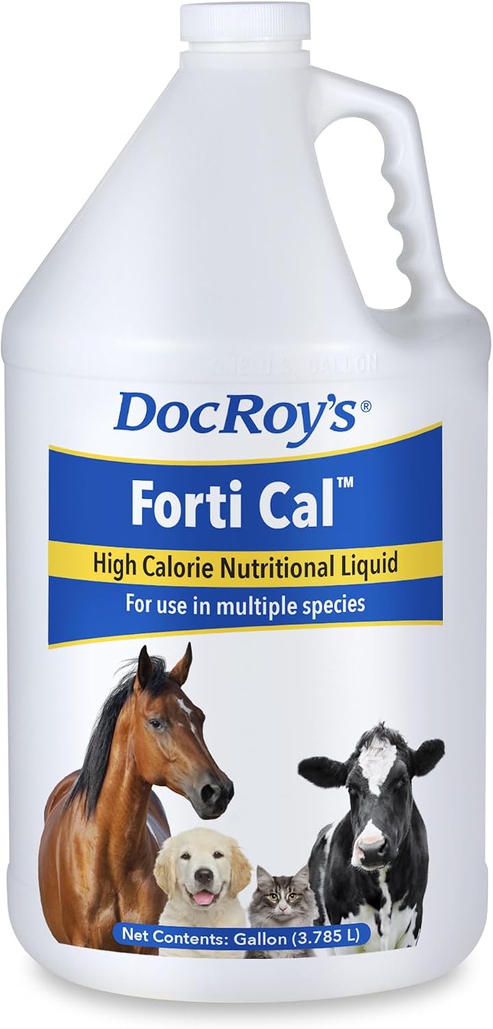 doc roy's forti cal liquid high-calorie supplement for, main product view