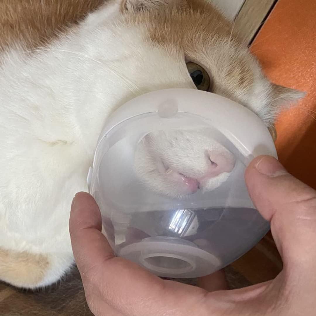 pets only low-noise large mask pet-mist-device with the, close-up detail