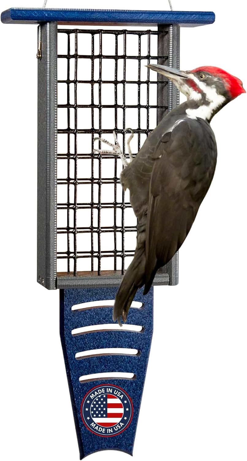 jcs wildlife blue/gray recycled double suet feeder tail, main product view