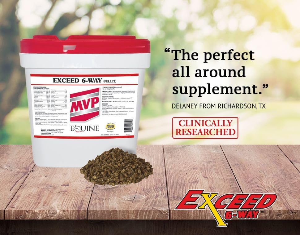 mvp exceed 6-way high level performance horse support, close-up detail