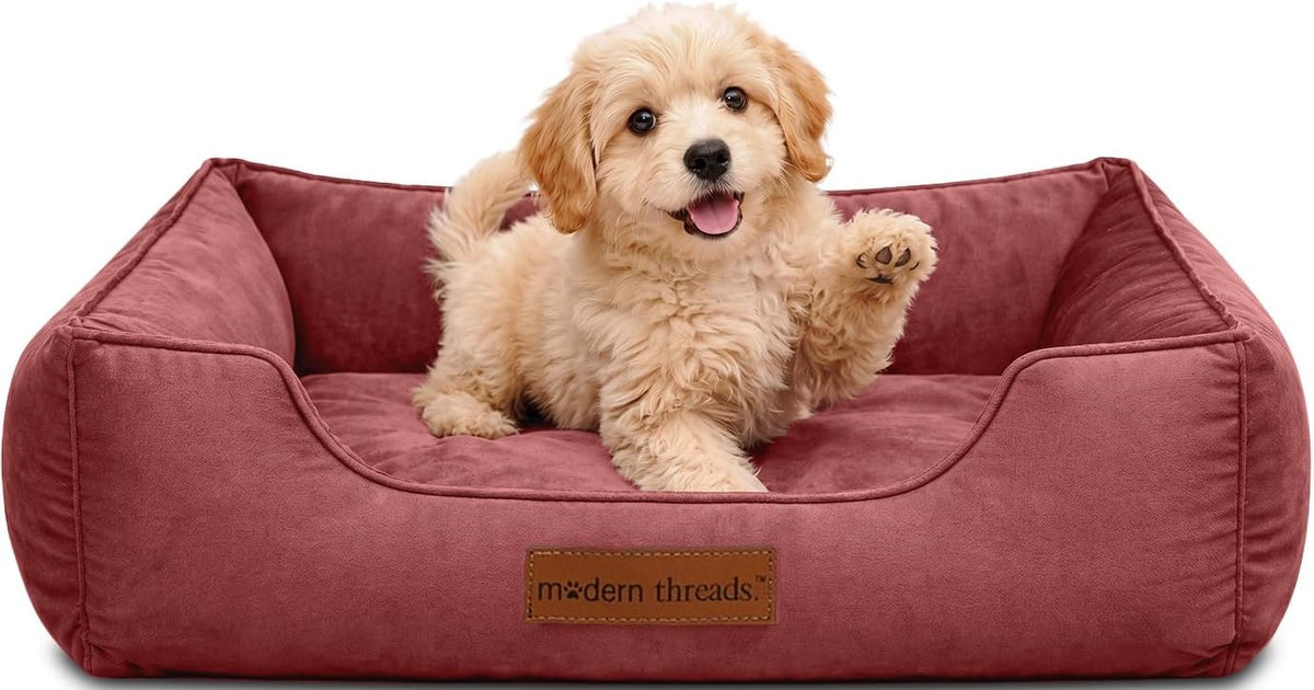 modern threads luxury dog bed - comfortable tufted, main product view