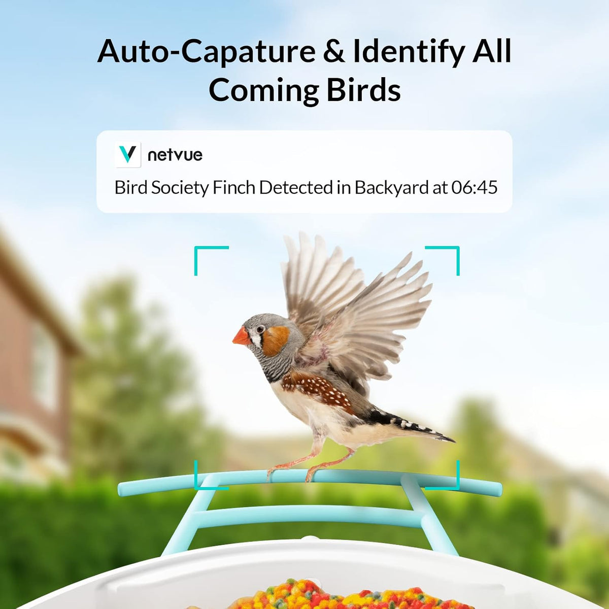 netvue birdfy - smart bird feeder camera, bird shown in use