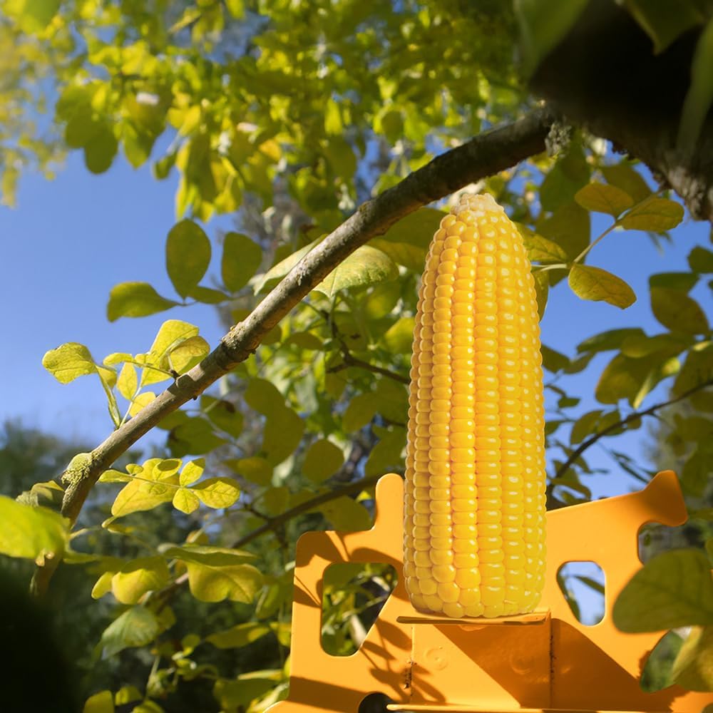 corn cob squirrel and bird feeder showing dimensions