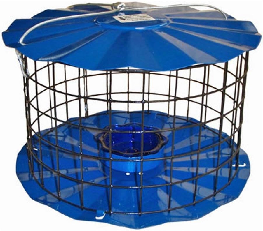 erva starling-proof barrier guard bluebird feeder with glass, main product view