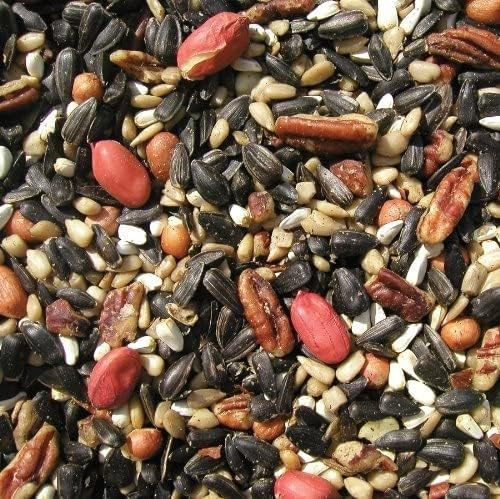 cole's sf20 special feeder bird seed, 20-pound (2) shown in use