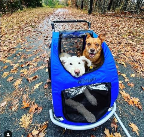 booyah extra large pet bike trailer dog stroller showing dimensions