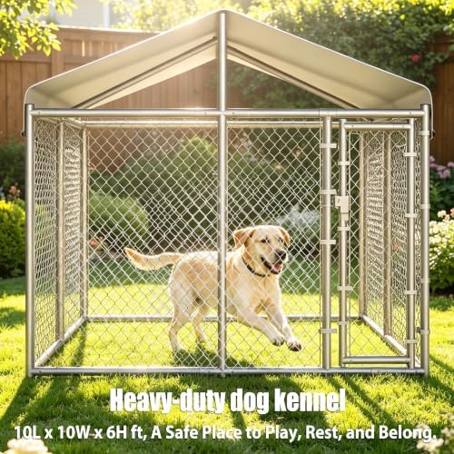10 x 6.56 ft outside dog kennel outdoor shown in use