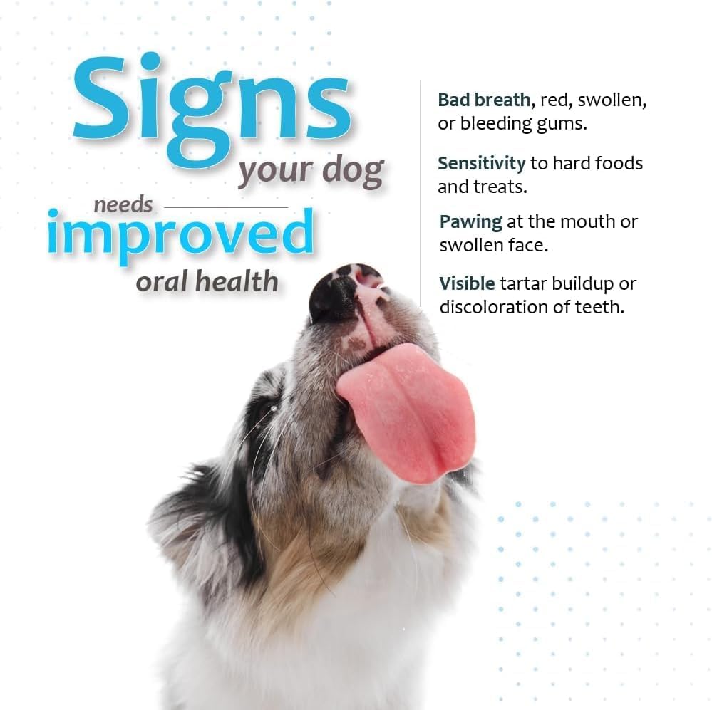 oral hygiene chews for large dogs – enzymatic showing dimensions