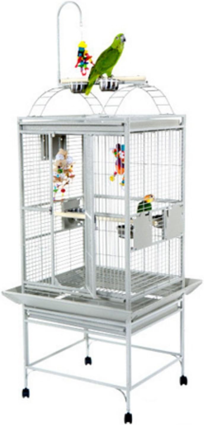 a&e cage 8002422 platinum play top bird cage shown in use