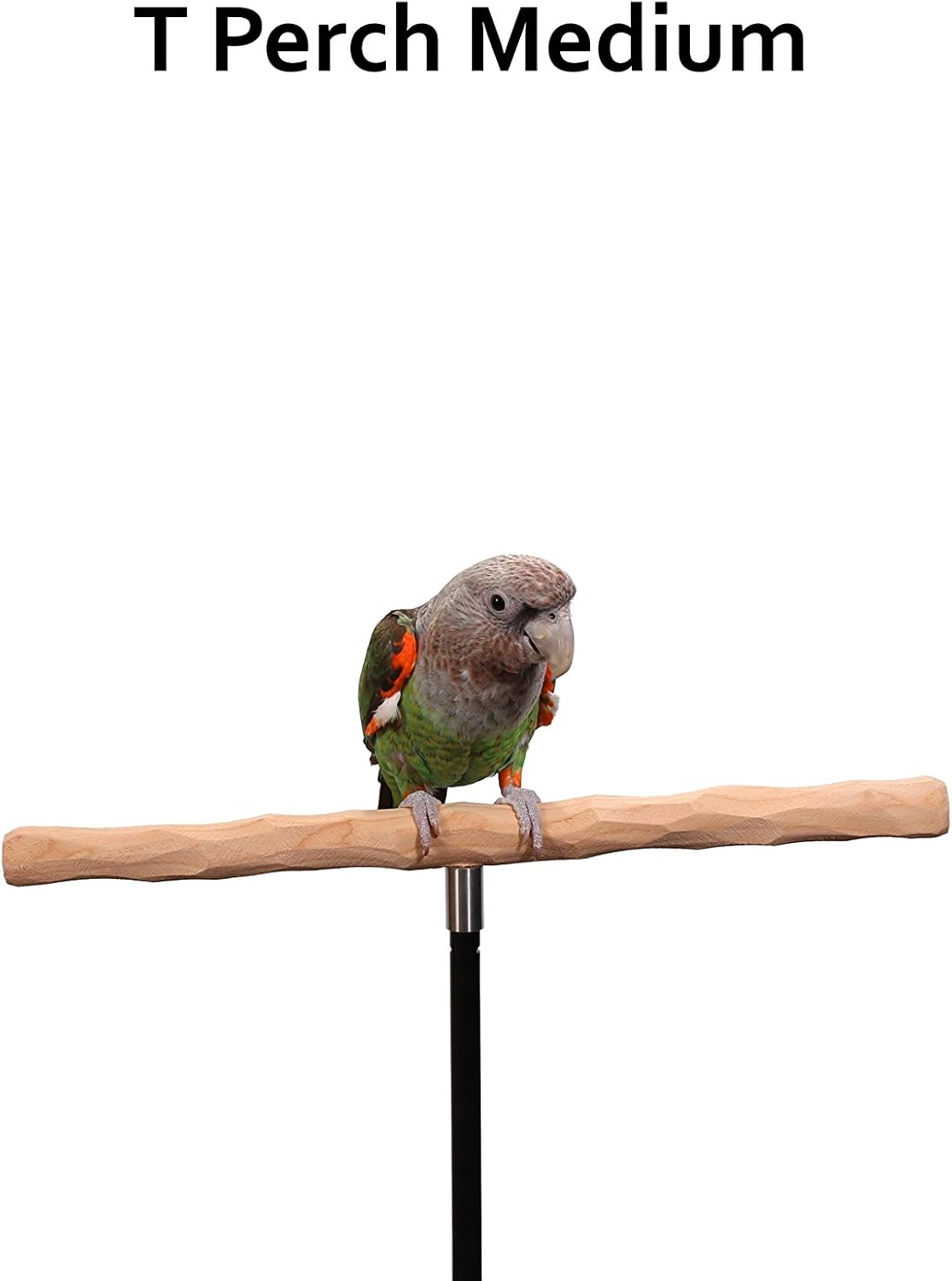 parrot training perch kit (t perch, medium) shown in use