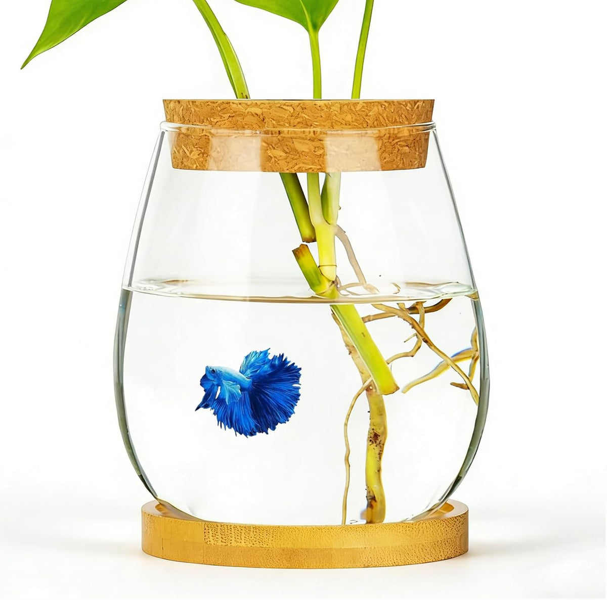 0.5 gallon fish bowl betta fish tank glass, main product view
