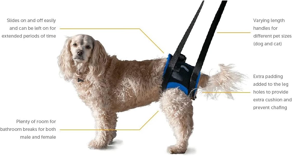walkabout back end harness, dog and cat lifting shown in use