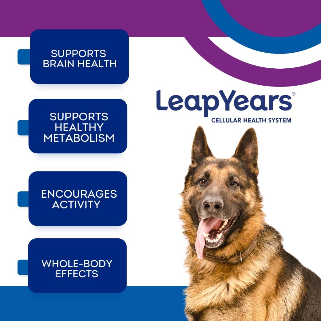 leap years nad+ precursor healthy aging, dog chews shown in use