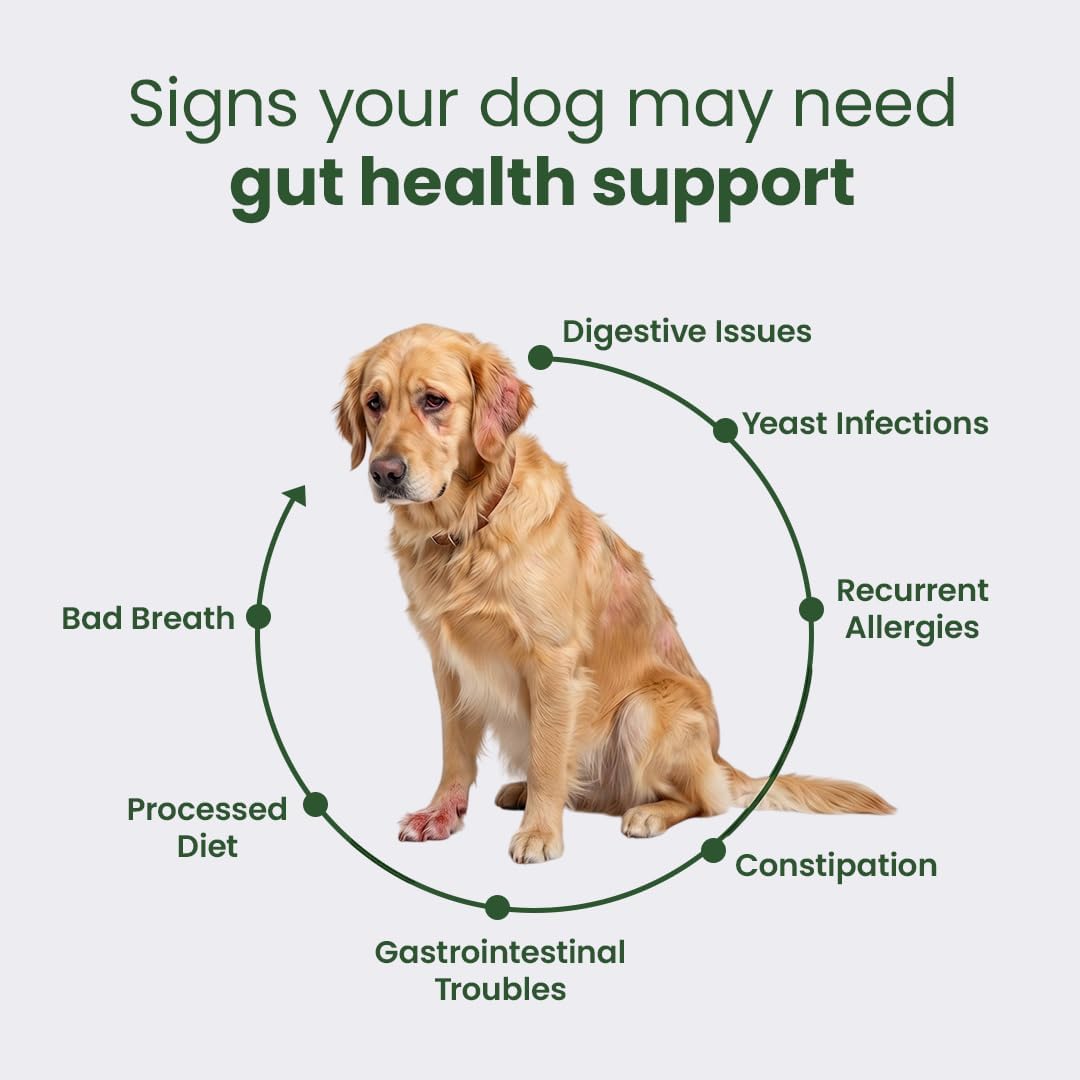 gastroquel probiotics for dogs – yeast infection support, close-up detail