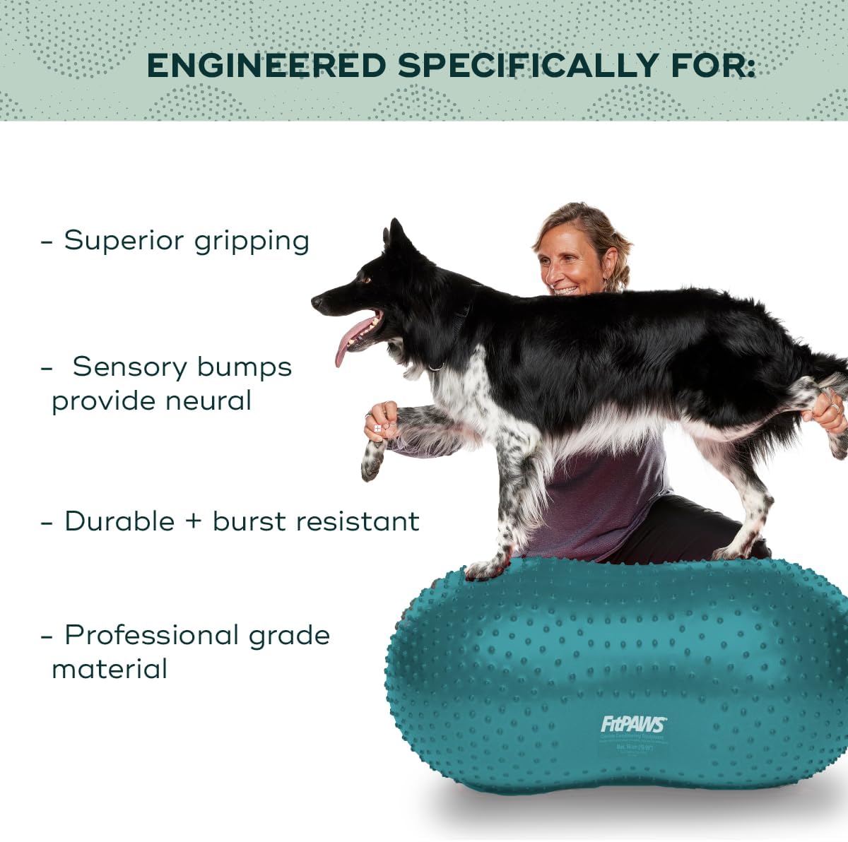 fitpaws® trax peanut, dog training rehabilitation exercise equipment shown in use