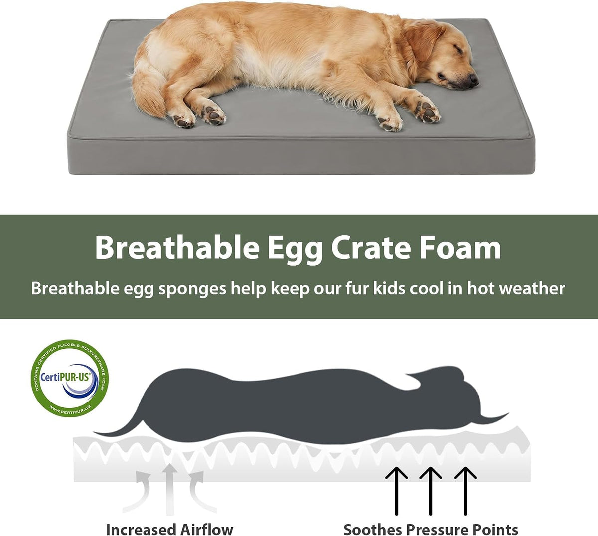 wnpethome outdoor waterproof dog bed large sized, washable shown in use