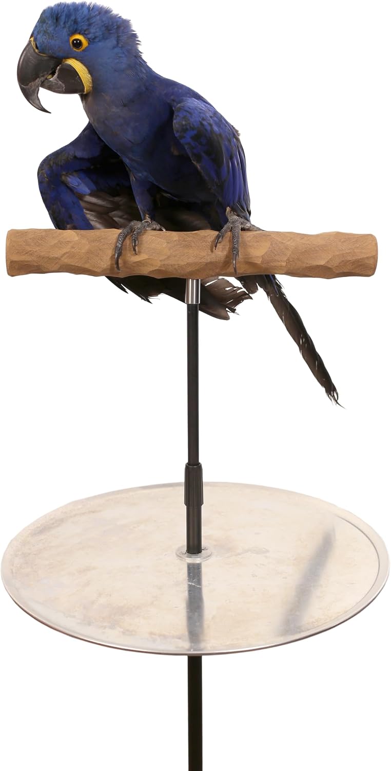 parrot training perch stand with potty tray (t, main product view
