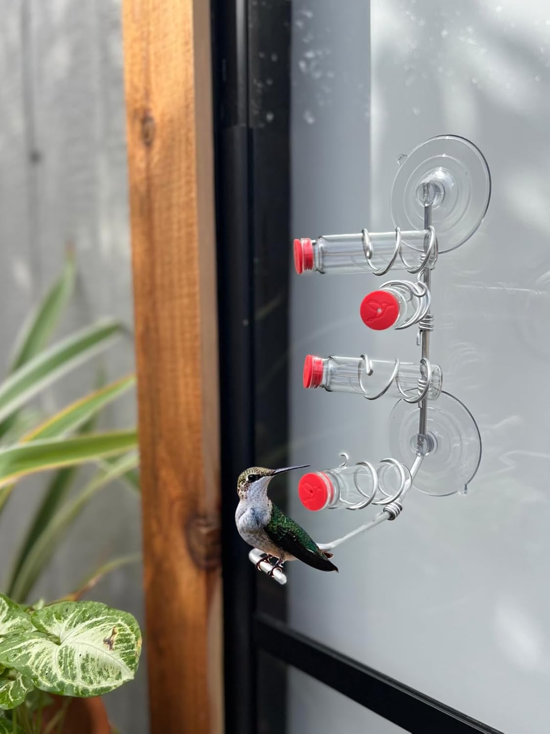 window hummingbird feeder | handcrafted copper and aluminum shown in use