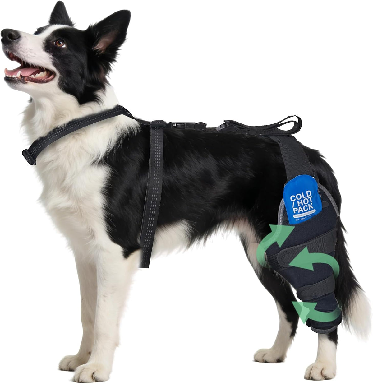 dog knee braces for back leg, dual-use for, main product view