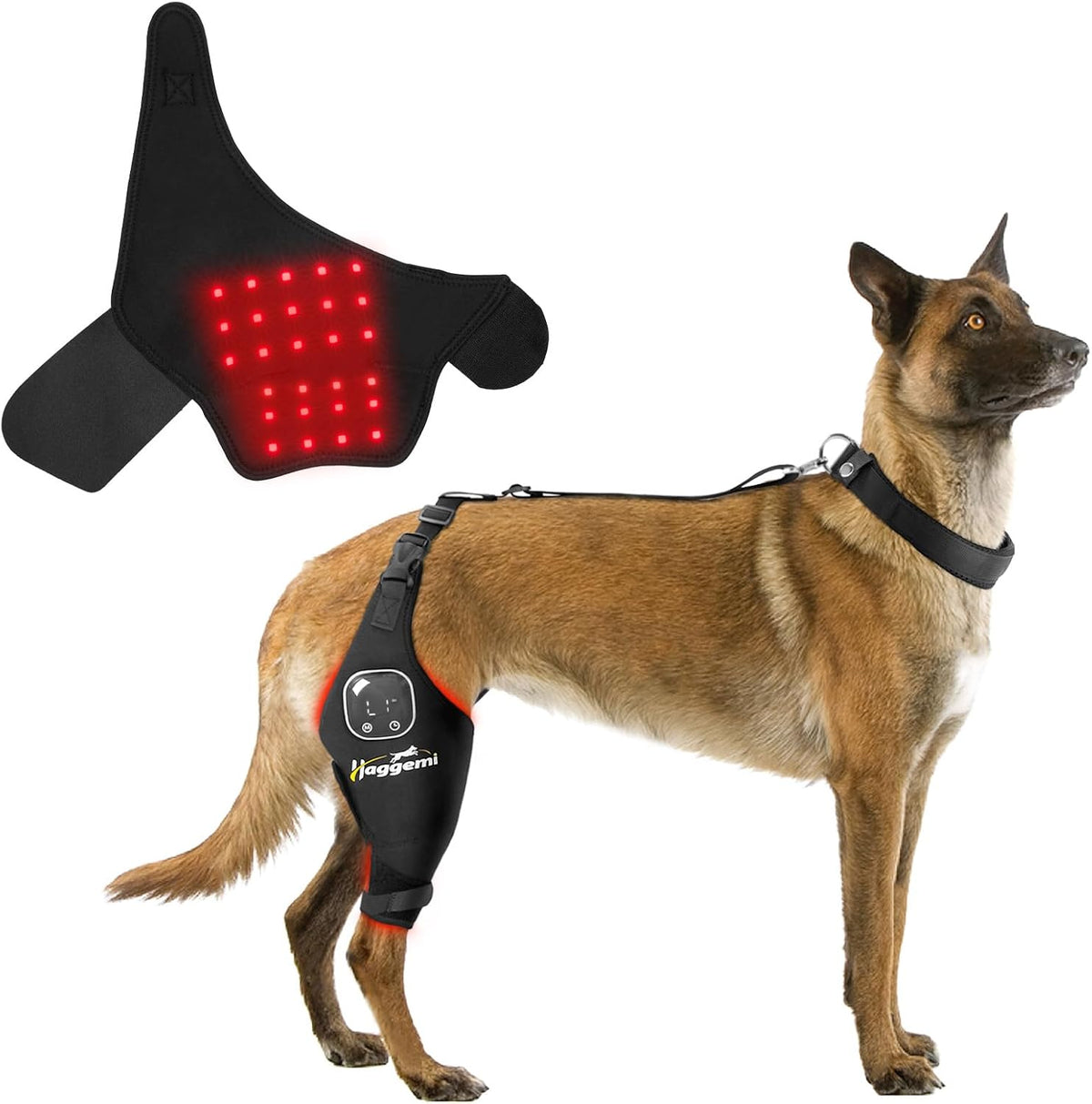dog knee brace for acl support, red &, main product view