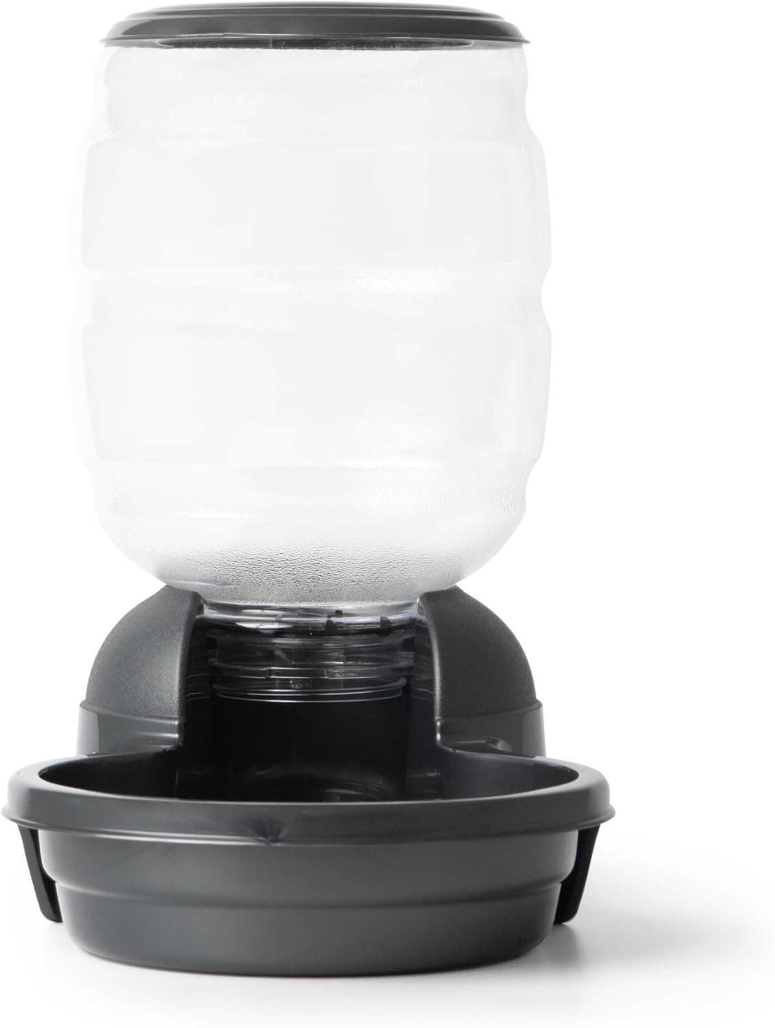petmate replendish gravity dog feeder, 5lbs, microban antimicrobial shown in use