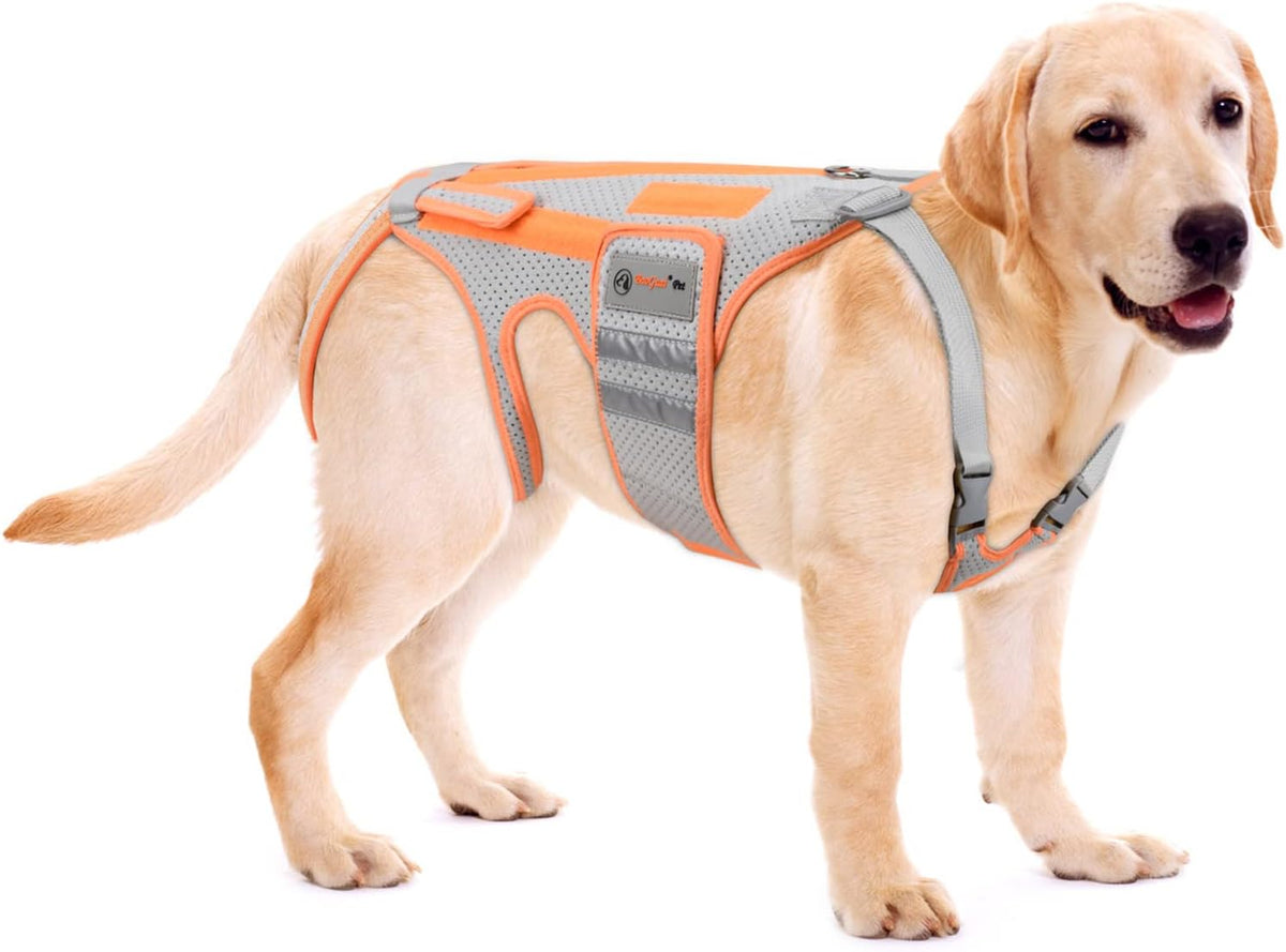 dog back brace for arthritis, dog hip brace, main product view