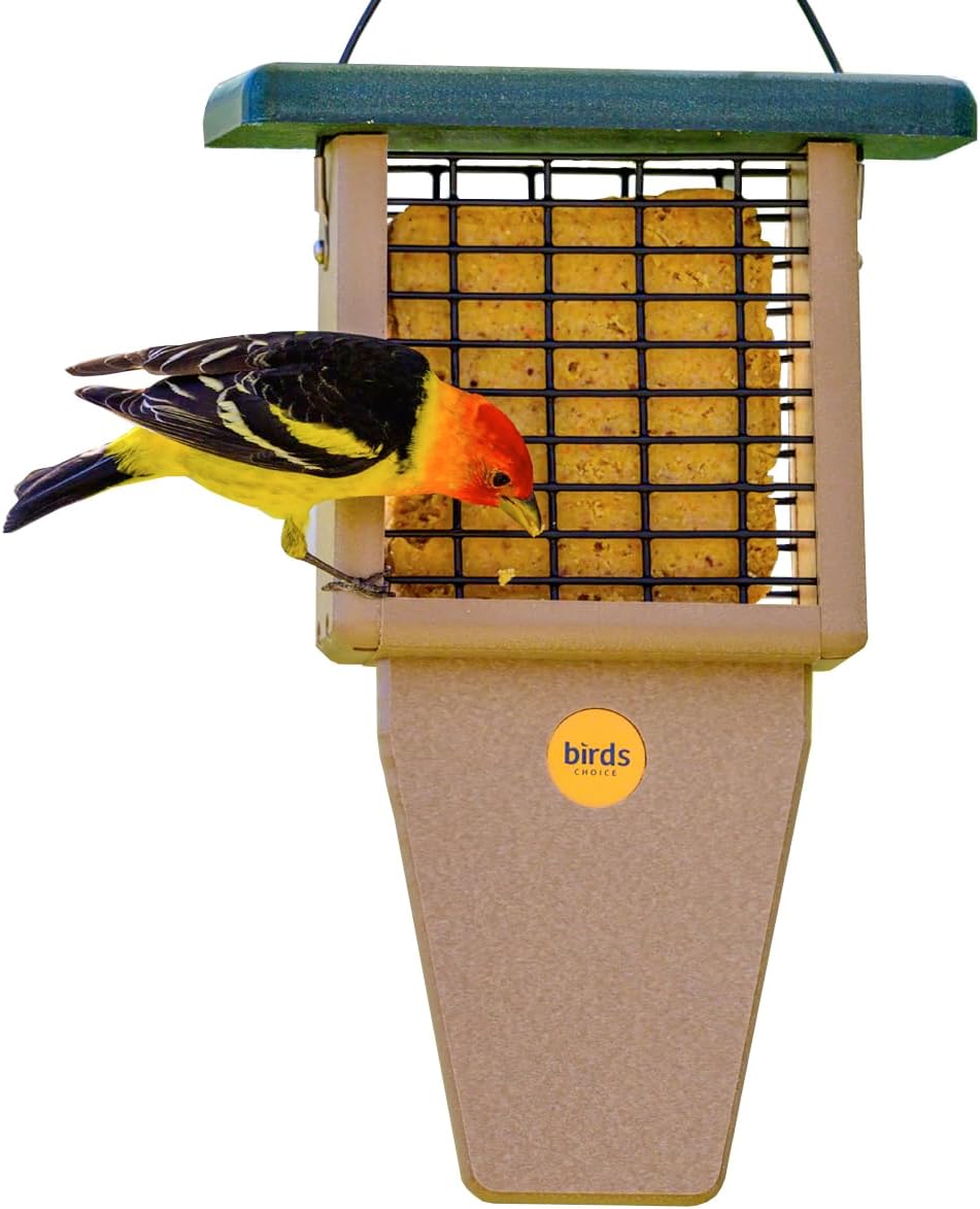 birds choice suet feeder with tail prop and, main product view