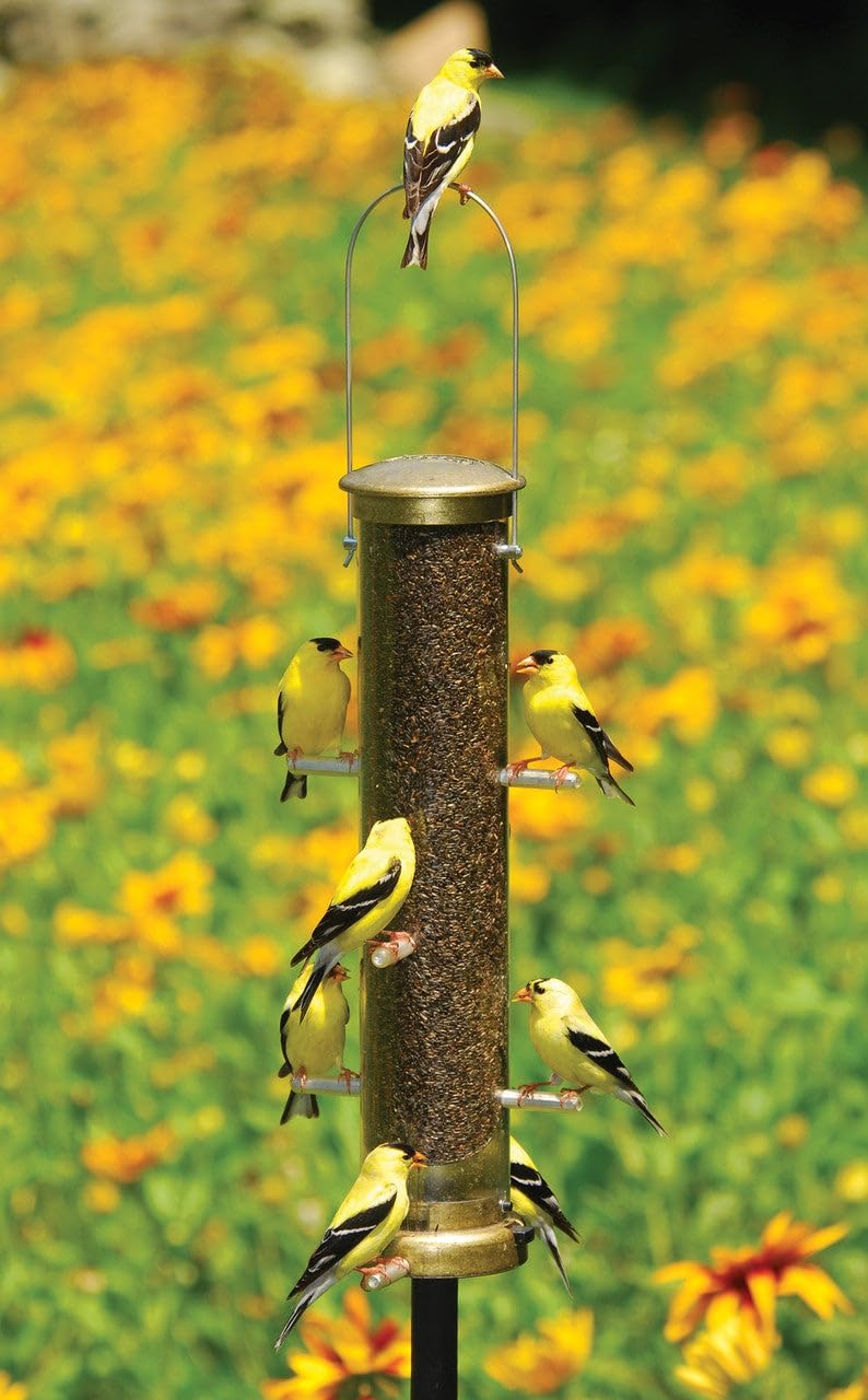 aspects 402 quick-clean thistle tube feeder, medium shown in use