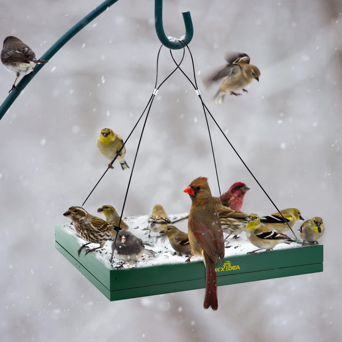 mixxidea bird feeder hanging tray, wooden platform hummingbird showing dimensions