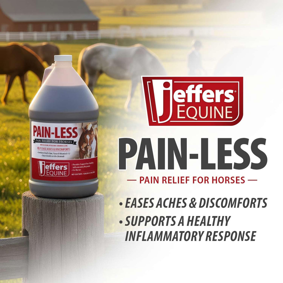 jeffers equine pain less liquid horse supplement – showing dimensions