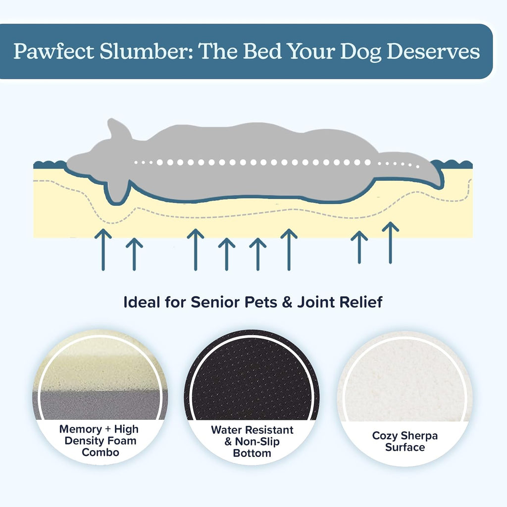 orthopedic dog bed - 2-layer 44x35-inch memory foam showing dimensions