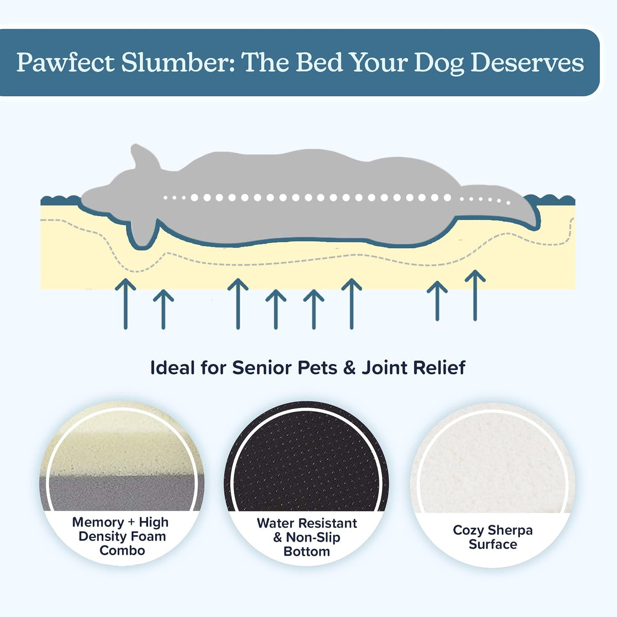 orthopedic dog bed - 2-layer 44x35-inch memory foam showing dimensions