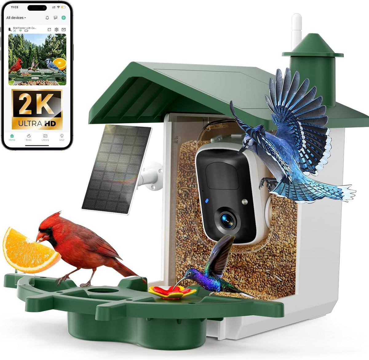 bird feeder with camera, 2k hd video bird, main product view