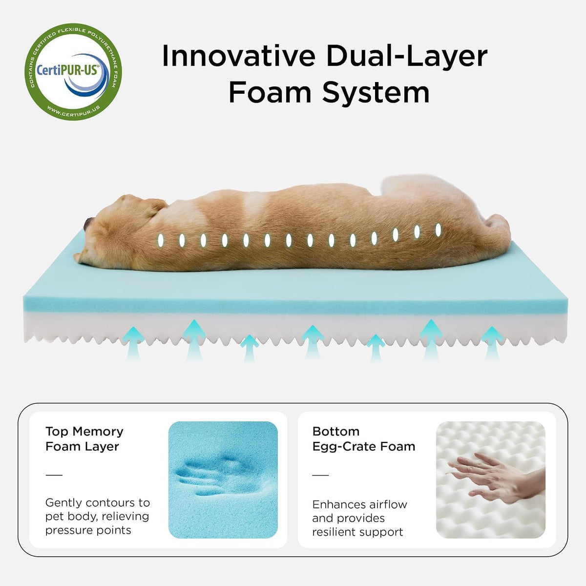 bedsure memory foam dog beds large sized dog shown in use