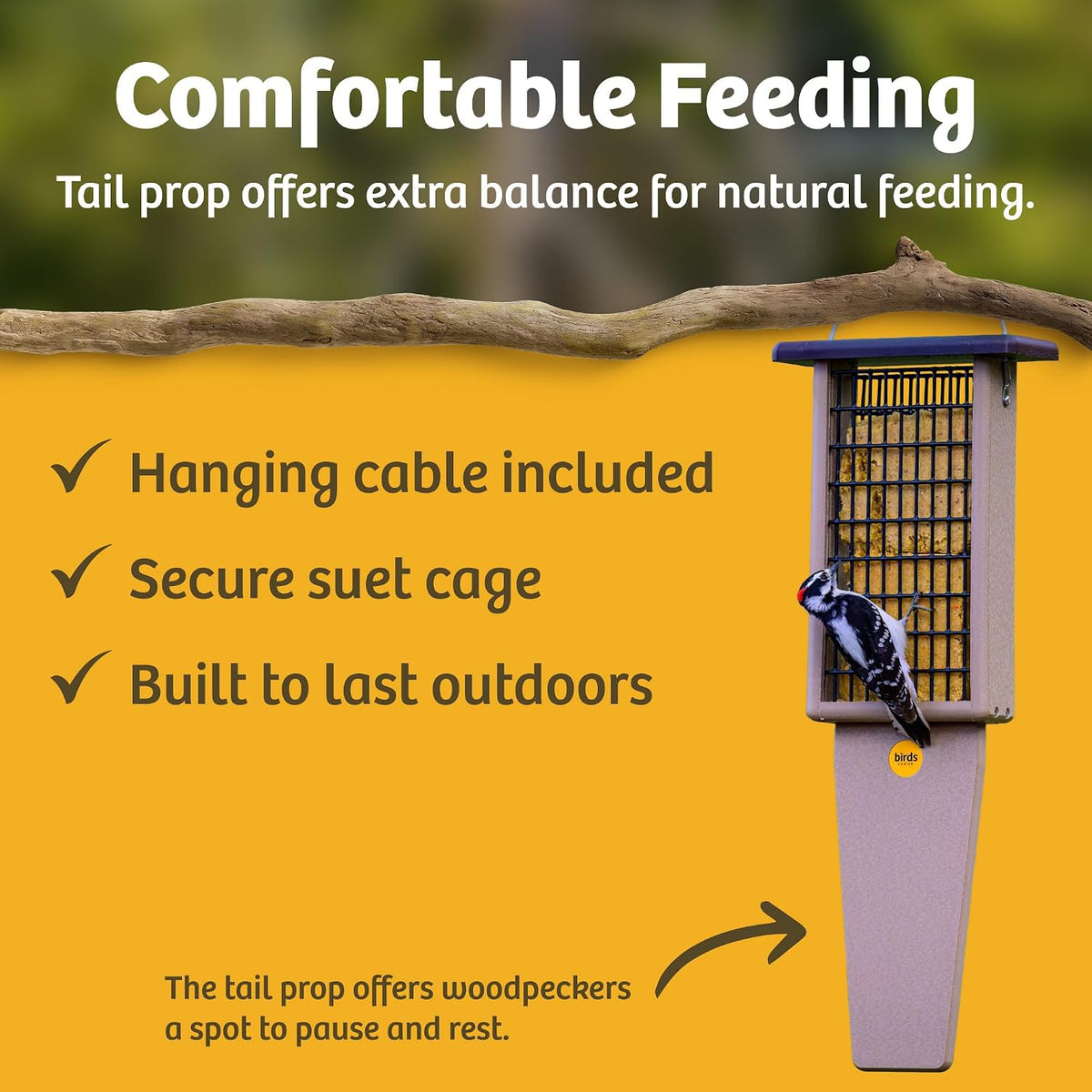 birds choice pileated 2 suet cake feeder with showing dimensions
