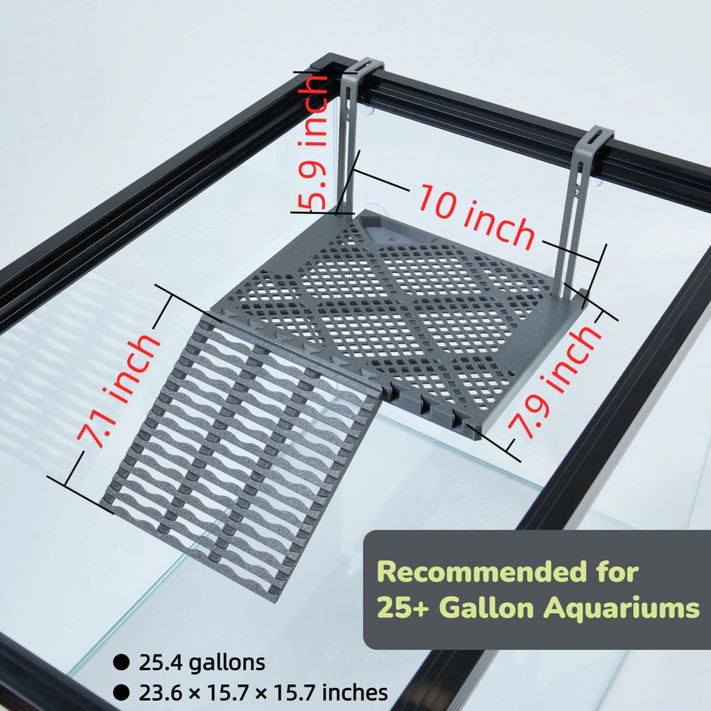 solidform hanging turtle basking platform with built-in food shown in use