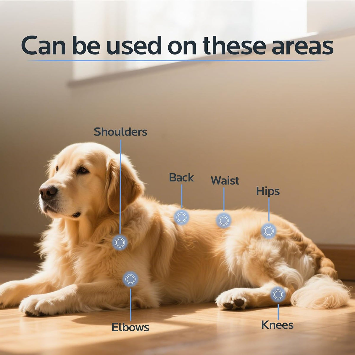 red light therapy belt for dogs and pets, close-up detail