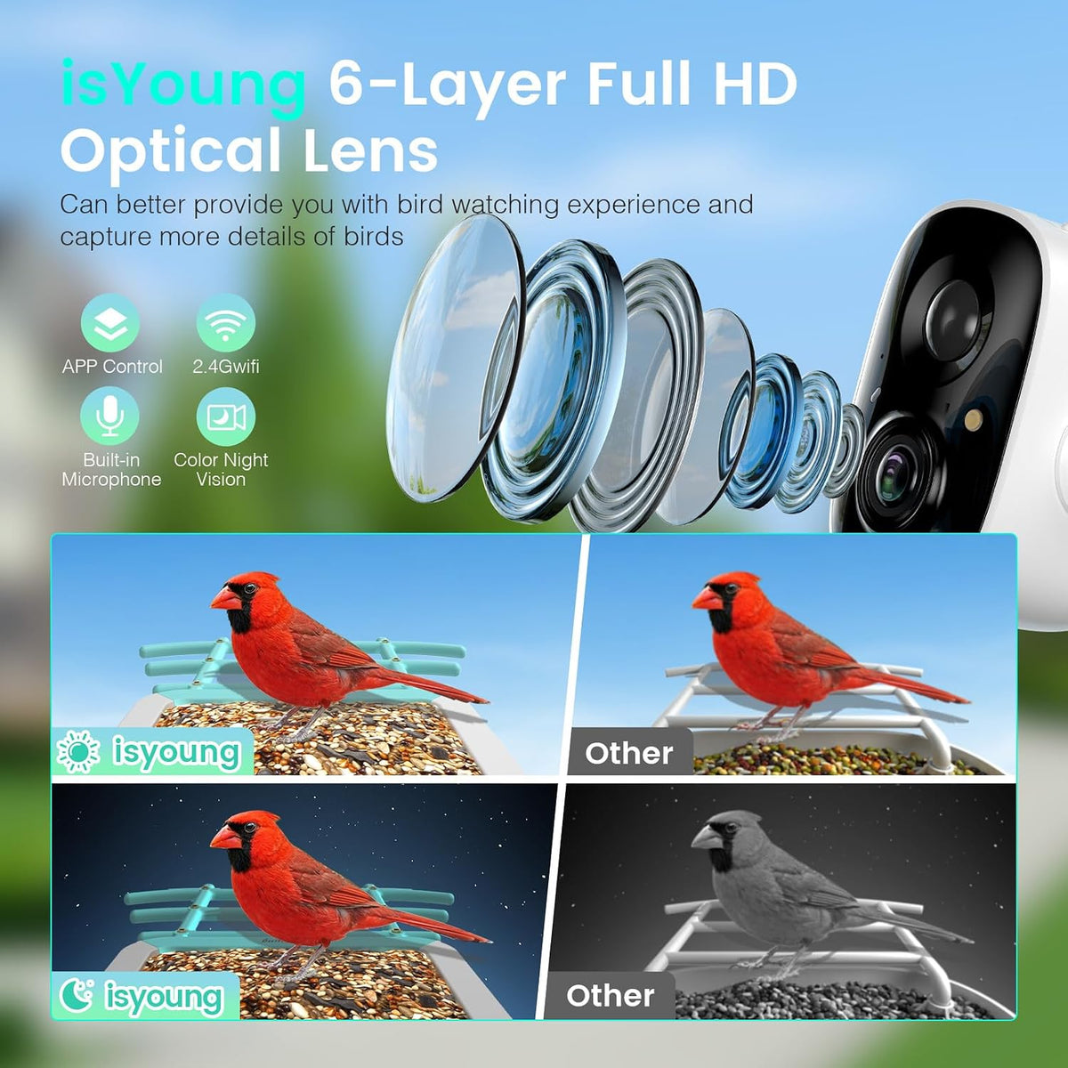 smart bird feeder with camera, 2.5k live cam, close-up detail