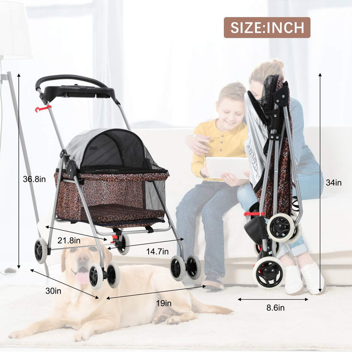meet perfect pet stroller for small/medium dogs & showing dimensions