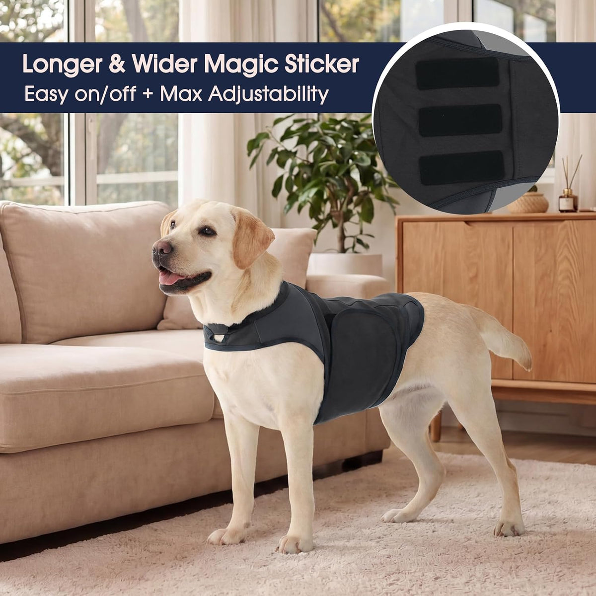 iecoii dog thunder jacket anxiety calming vest, storm showing dimensions