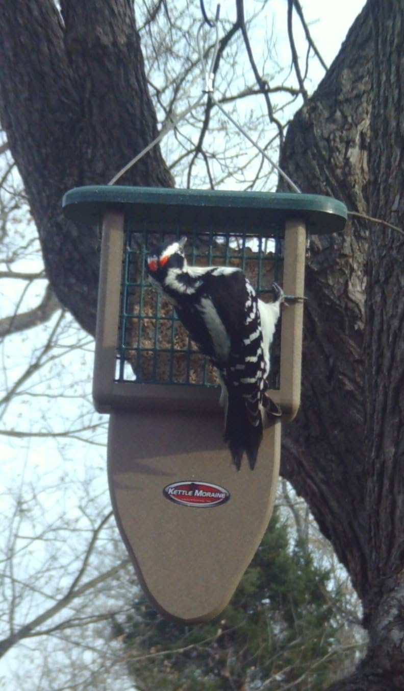 kettle moraine recycled plastic single suet cake tail showing dimensions