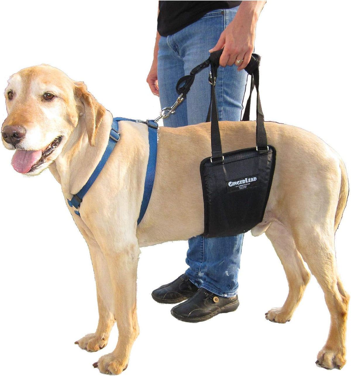 gingerlead® k9 sling hind leg support, m/lg unisex, main product view