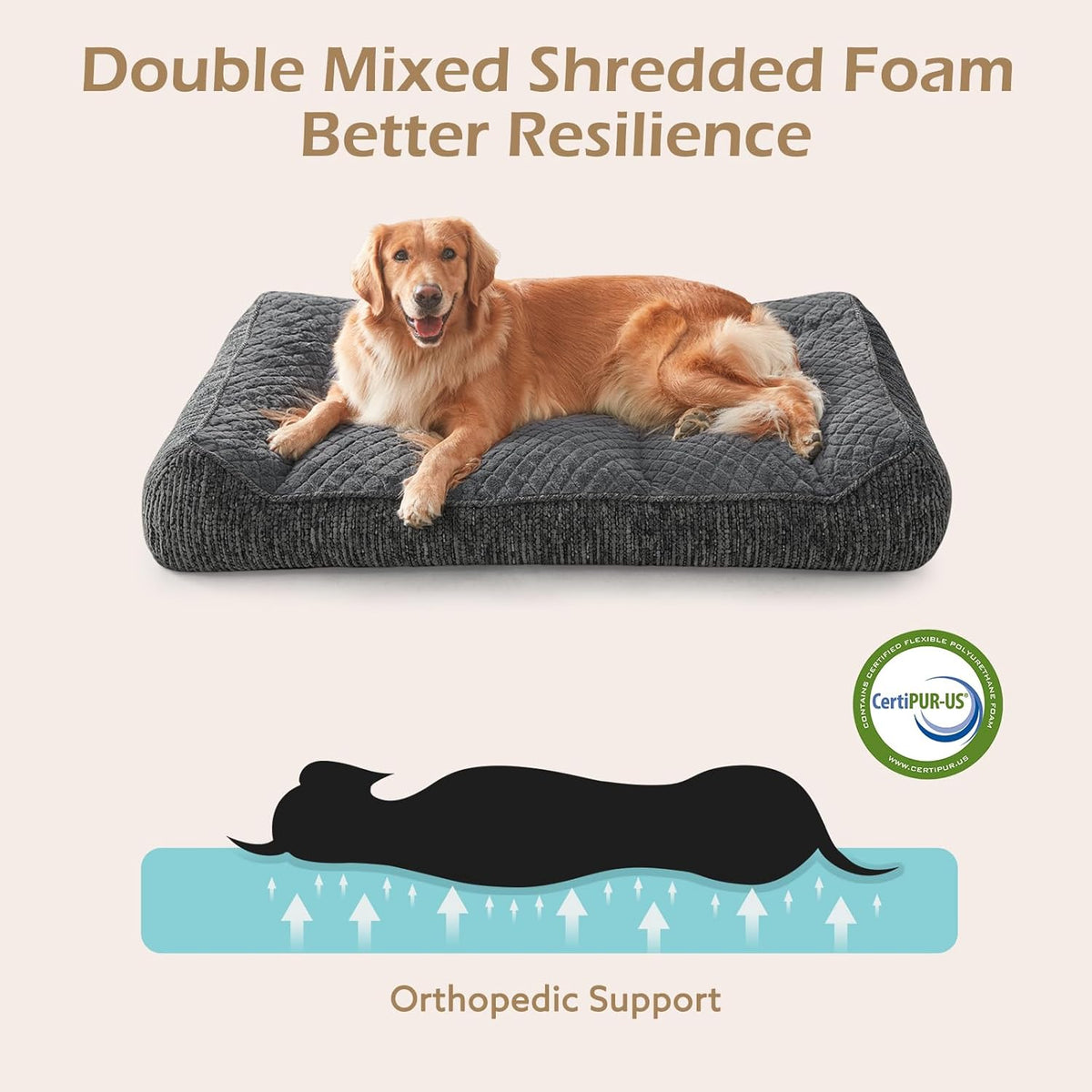 joejoy xl orthopedic dog bed for large dogs on a desk or shelf