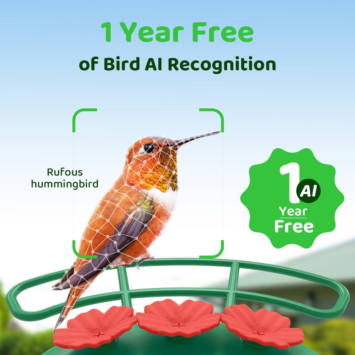 sehmua smart hummingbird feeder with camera, solar powered shown in use