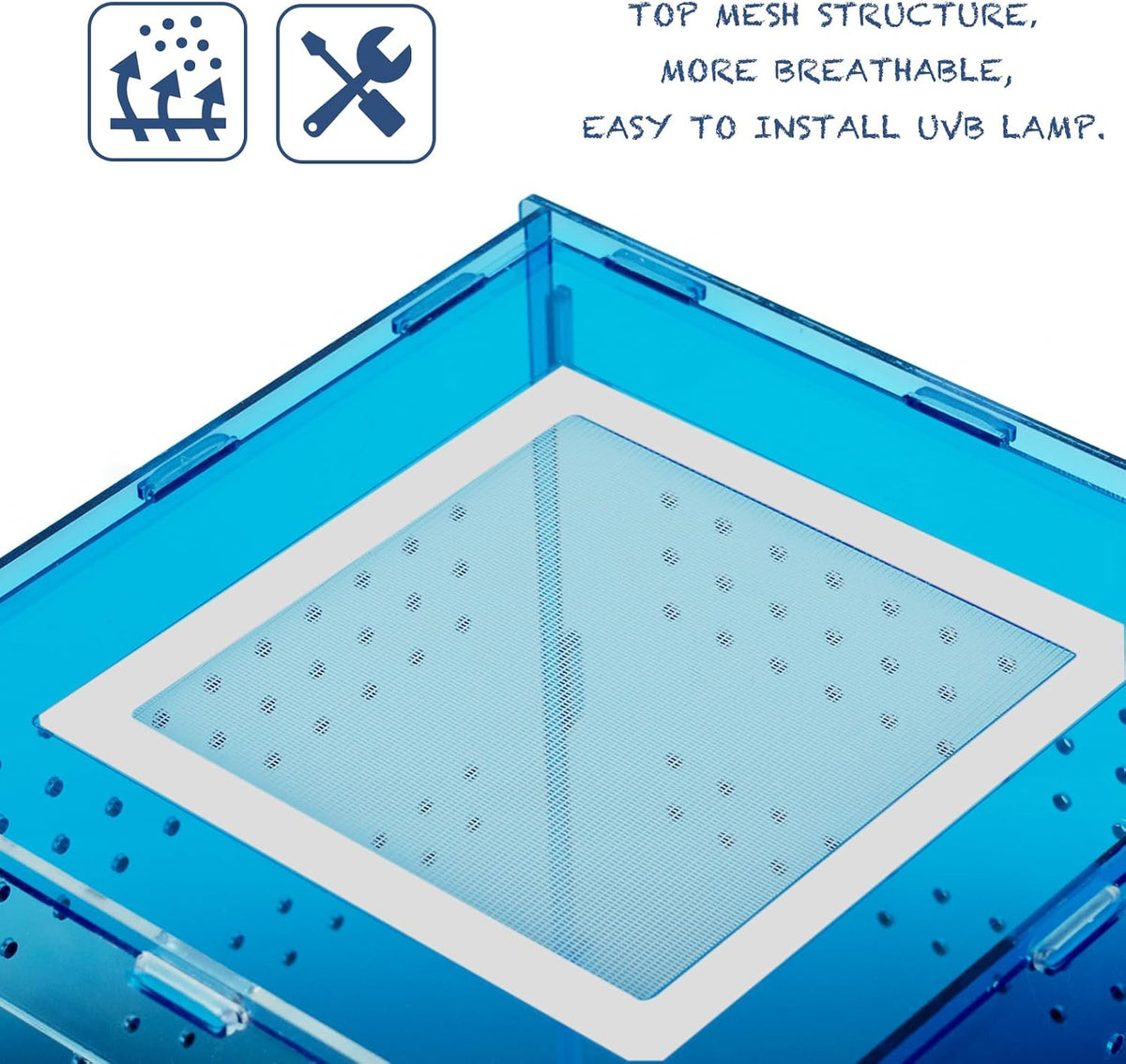 8x8x12 blue acrylic terrarium vertical for spider reptile, side view