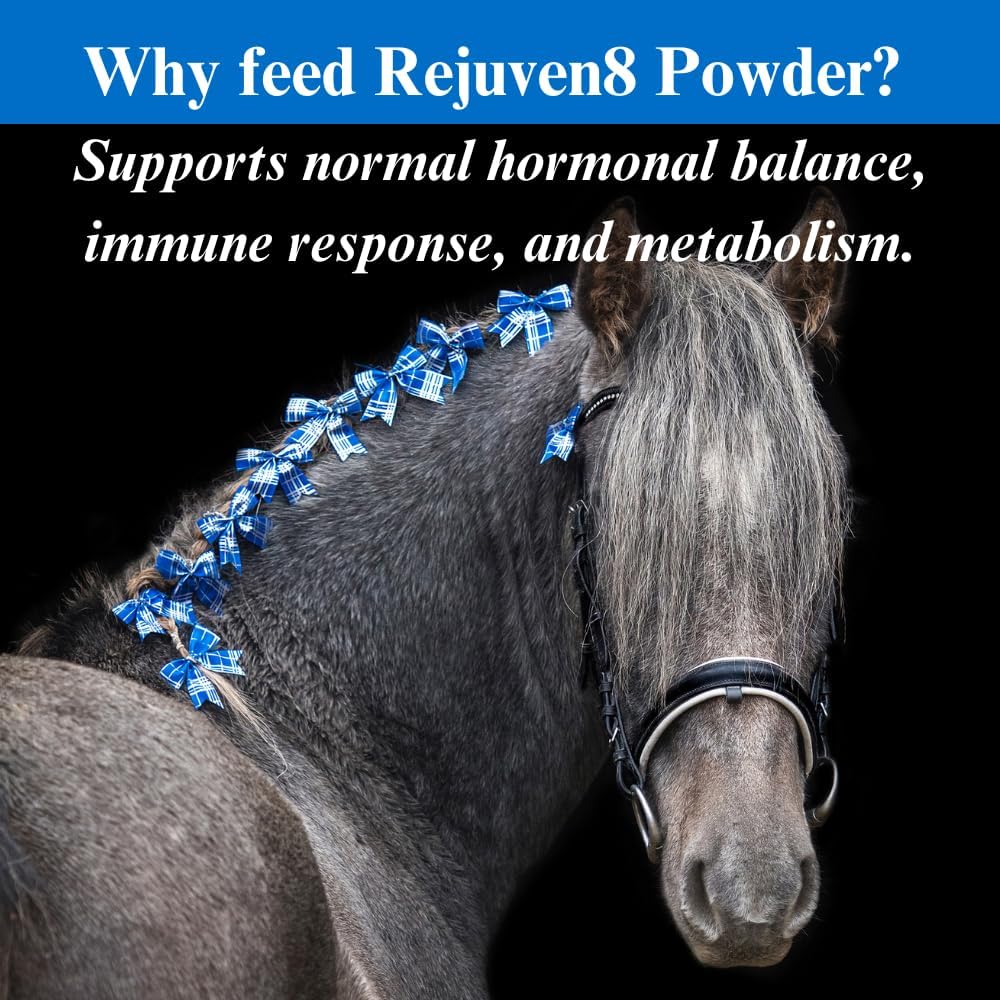 su-per rejuven8 supplement for horses, 12.5 pound powder showing dimensions