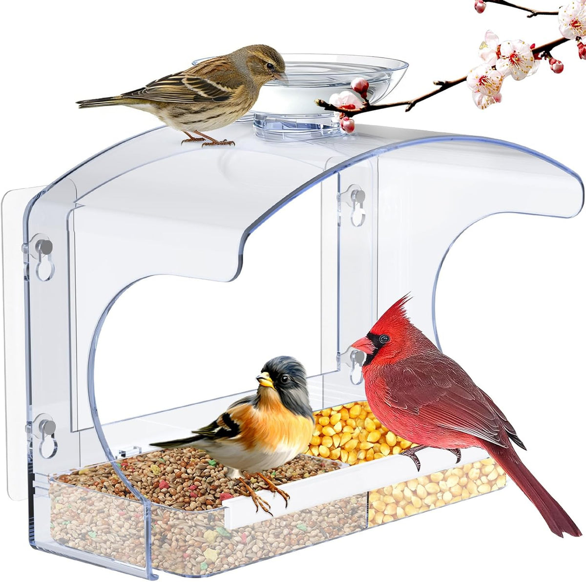 goodeco clear window bird feeder with water bowl, main product view