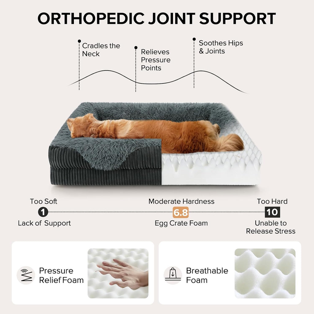 gasur orthopedic dog bed for large sized dog shown in use