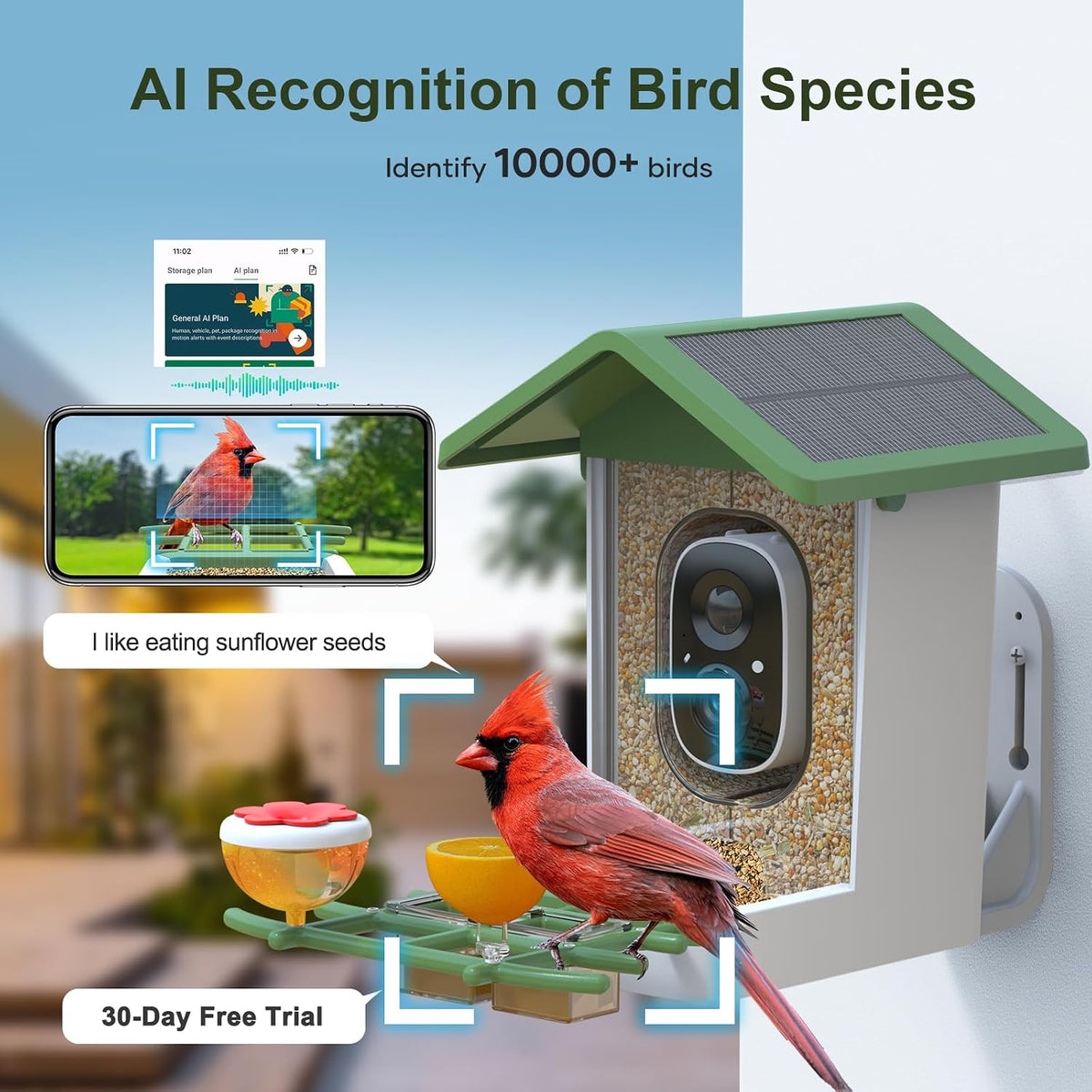 smart bird feeder with camera: solar powered birdhouse shown in use